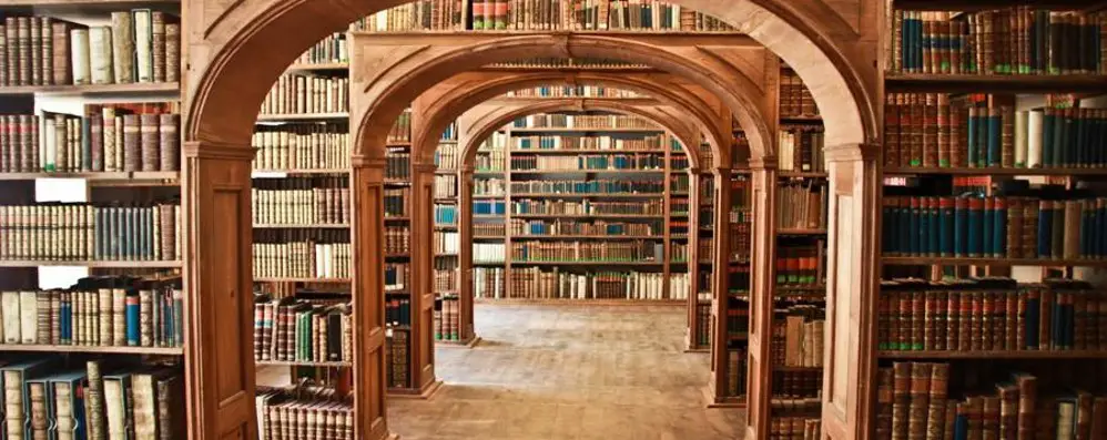 interno biblioteca in legno