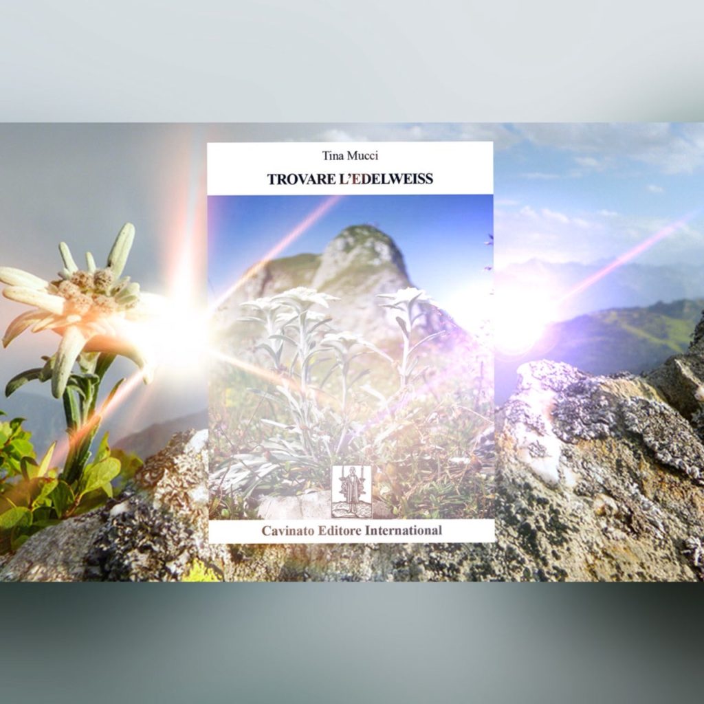 Copertina di TROVARE L’EDELWEISS