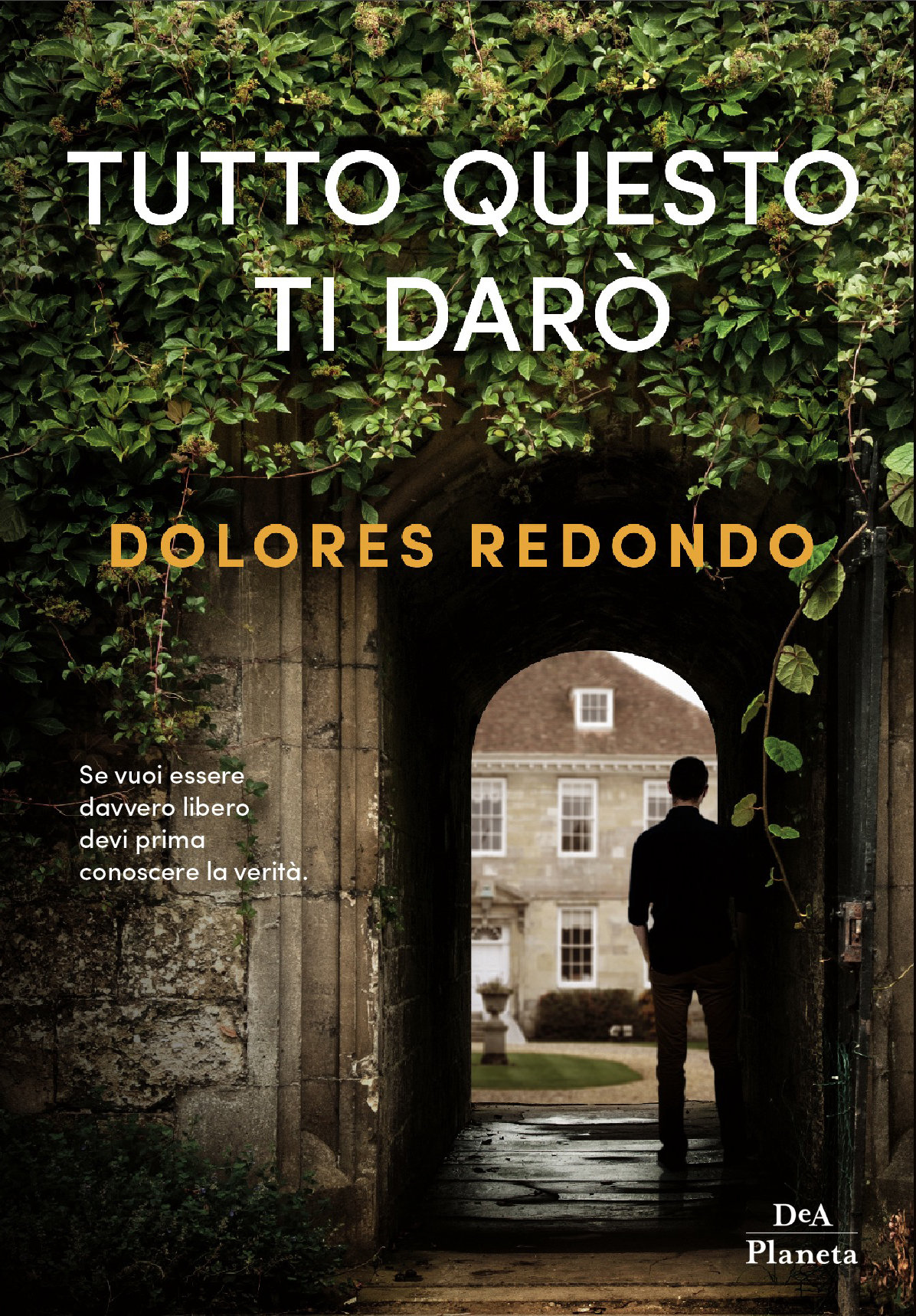 Tutto questo ti darò Book Cover