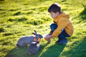 Rapporto tra conigli e bambini