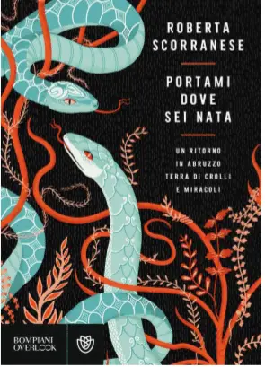 Portami dove sei nata Book Cover