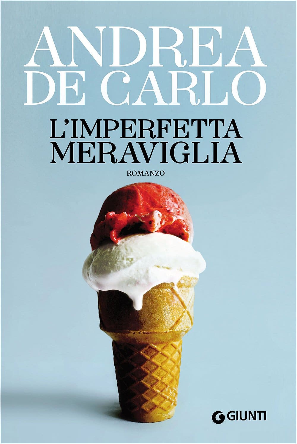 L'imperfetta Meraviglia Book Cover