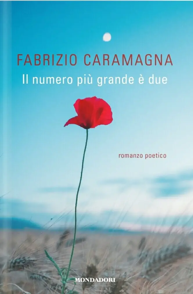 Il numero più grande è due Book Cover