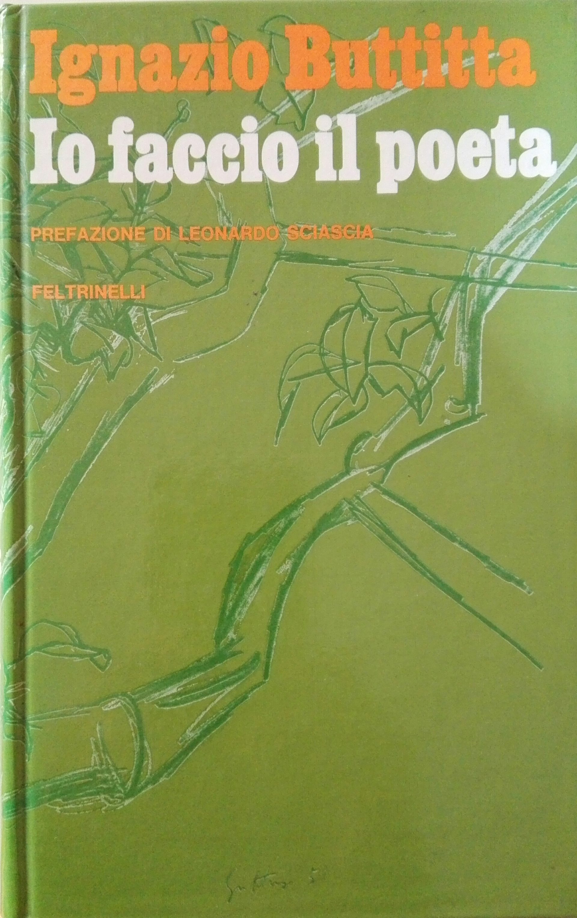 Io faccio il poeta Book Cover