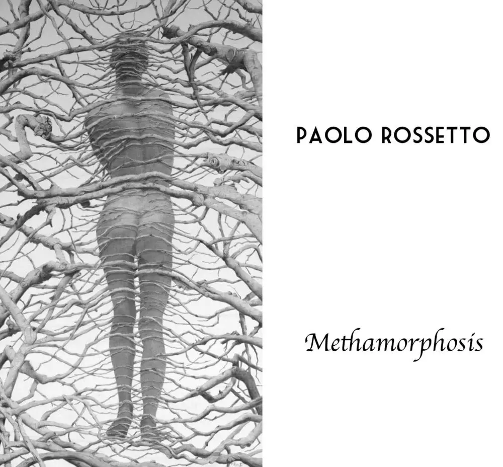Methamorphosis Book Cover
