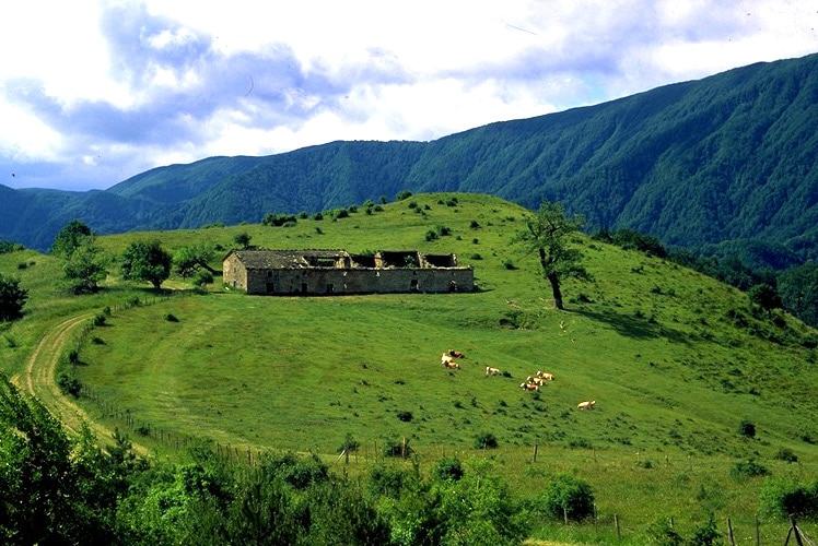 Parco nazionale, ambientazione naturale vicina ai mystery di Anna Pigeon