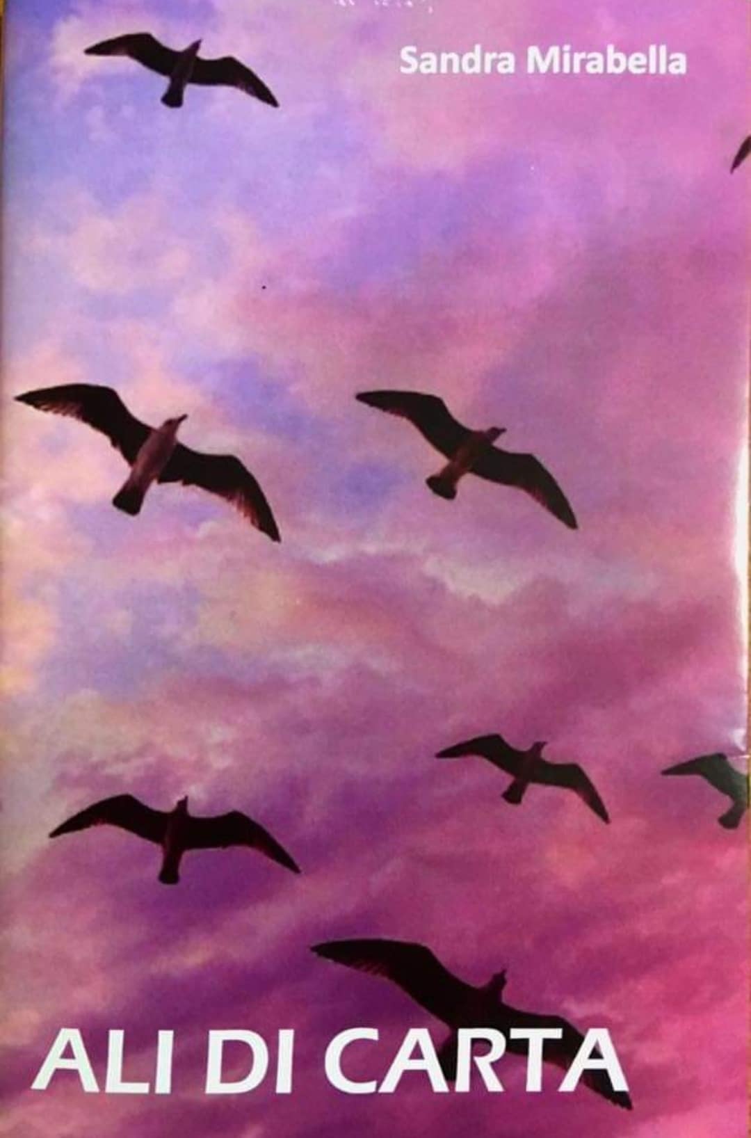 Ali di carta Book Cover