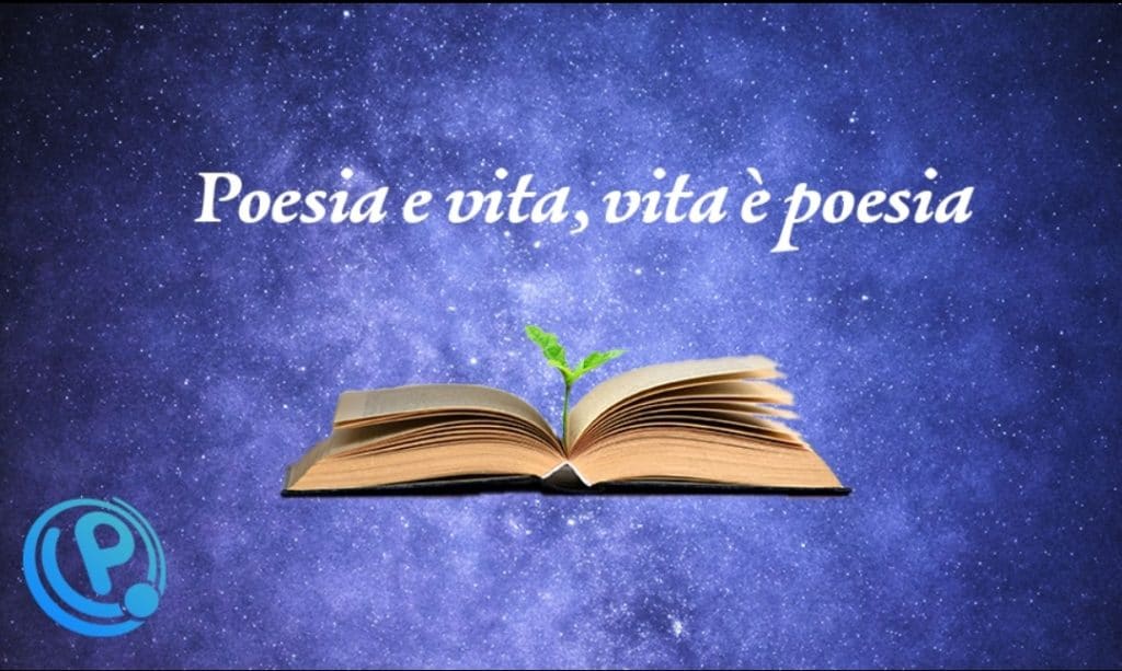 Copertina di Gotica chimera