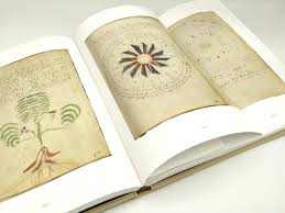 Manoscritto Voynich