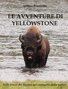 Le avventure di Yellowstone di Andrea Brambilla