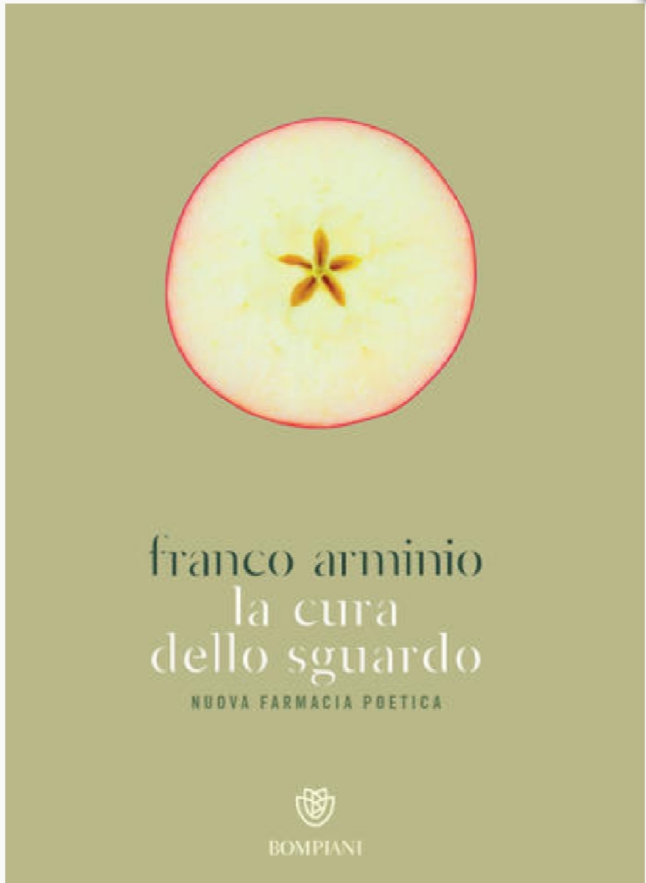 Franco Arminio, La cura dello sguardo