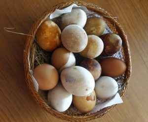 Uova di gallina colorate