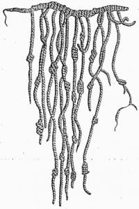 Quipo, metodo di scrittura con nodi e corde degli Inca, Libri dalla Storia