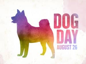 Giornata-mondiale-del-cane