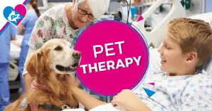 pet therapy