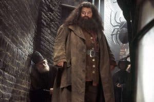 frasi di hagrid