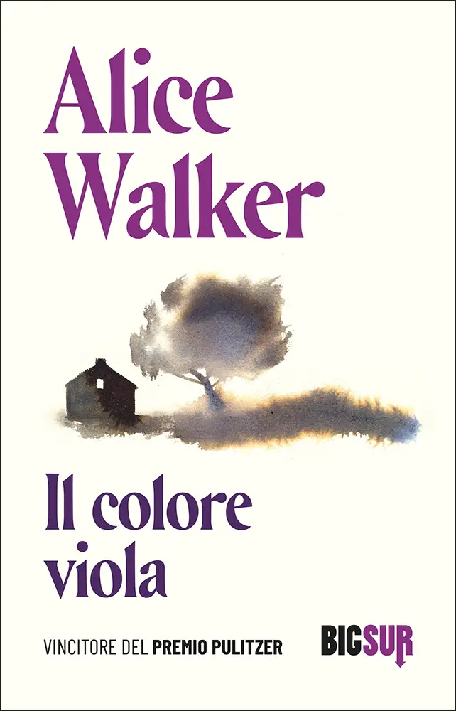 il colore viola differenze libro film