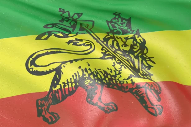 Rastafarianesimo cultura rasta