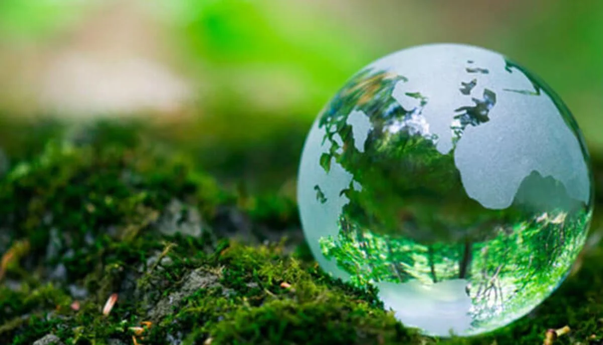 Filosofiamo: l’ecologia profonda, il connubio tra ecologia e filosofia