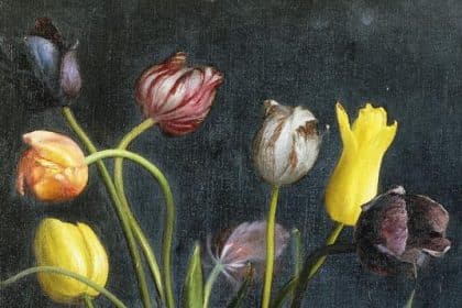 Il tulipano nero di Alexandre Dumas