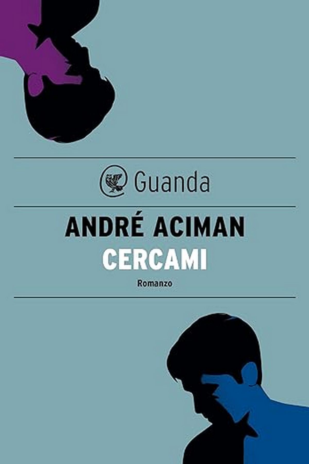 Consiglio del giorno: Cercami di André Aciman