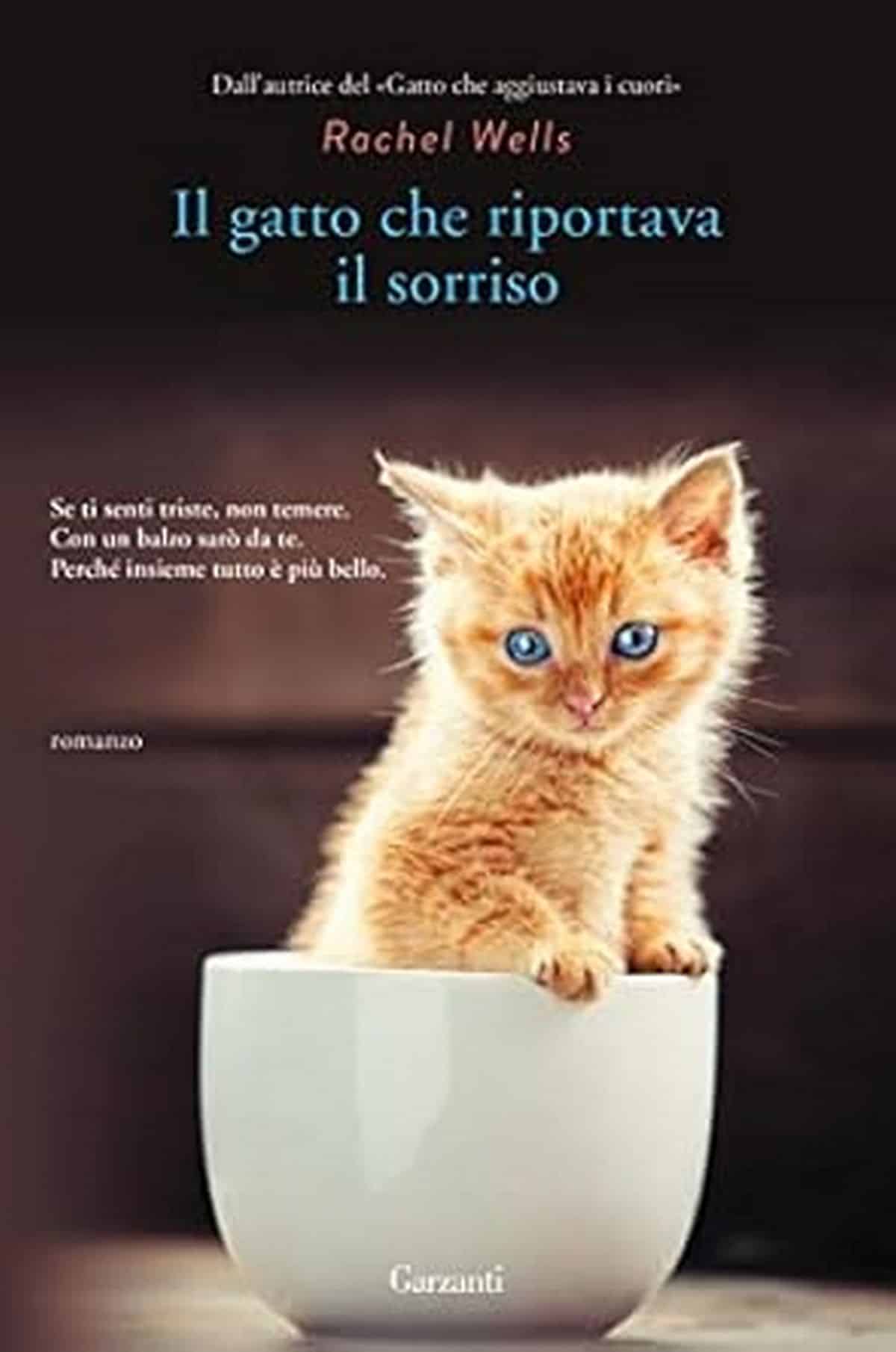 Consiglio del giorno: Il gatto che riportava il sorriso di Rachel Wells