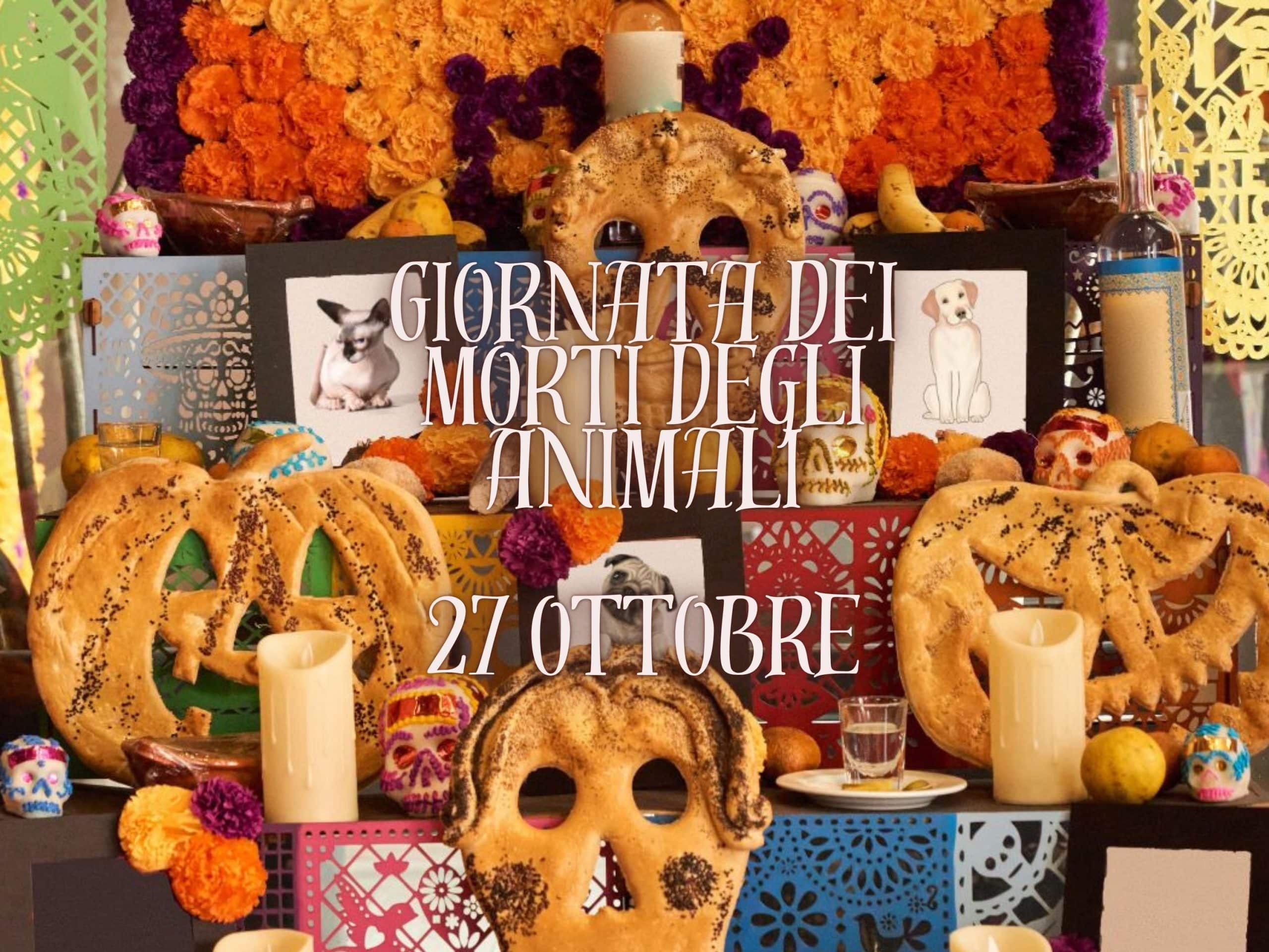 Giornata dei Morti degli Animali: nuovi inizi tra lettura e ricordo