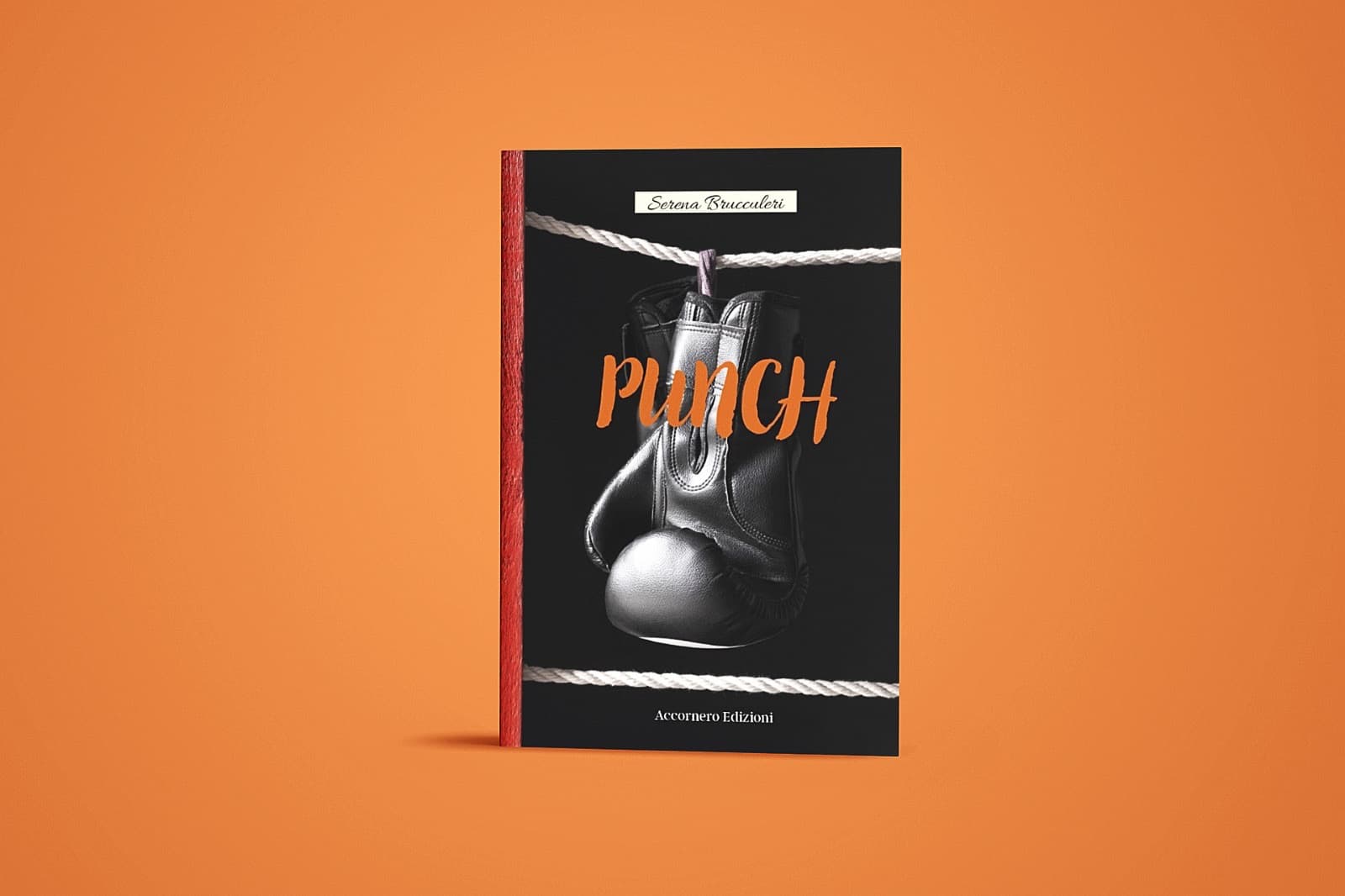 Novità in libreria: Punch di Serena Brucculeri