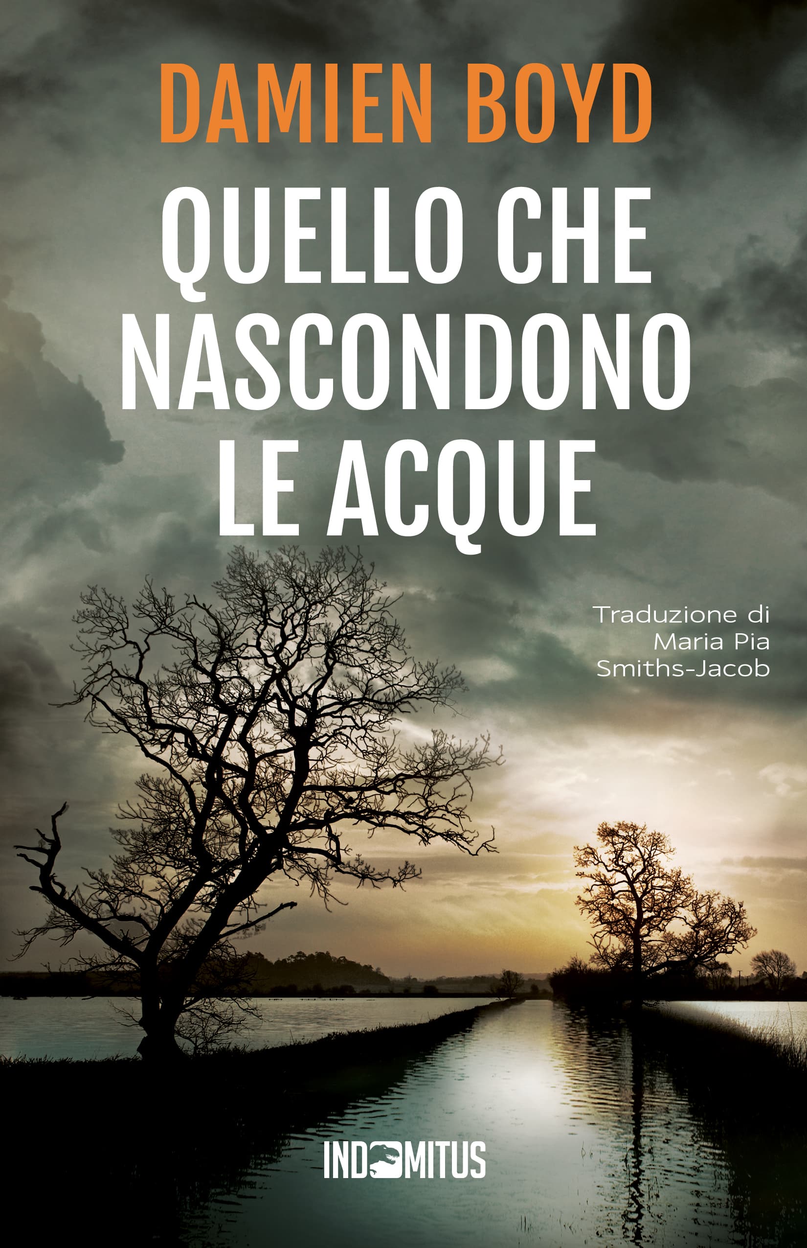 Novità in libreria: Quello che nascondono le acque di Damien Boyd