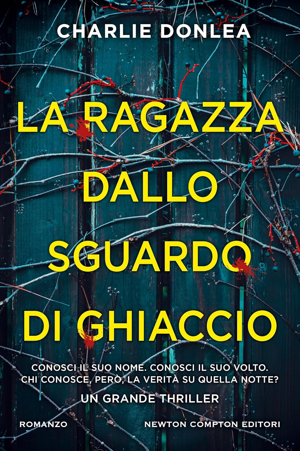 Novità in libreria: La ragazza dallo sguardo di ghiaccio di Charlie Donlea
