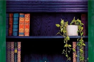 Il diario delle storie perdute di Evie Woods