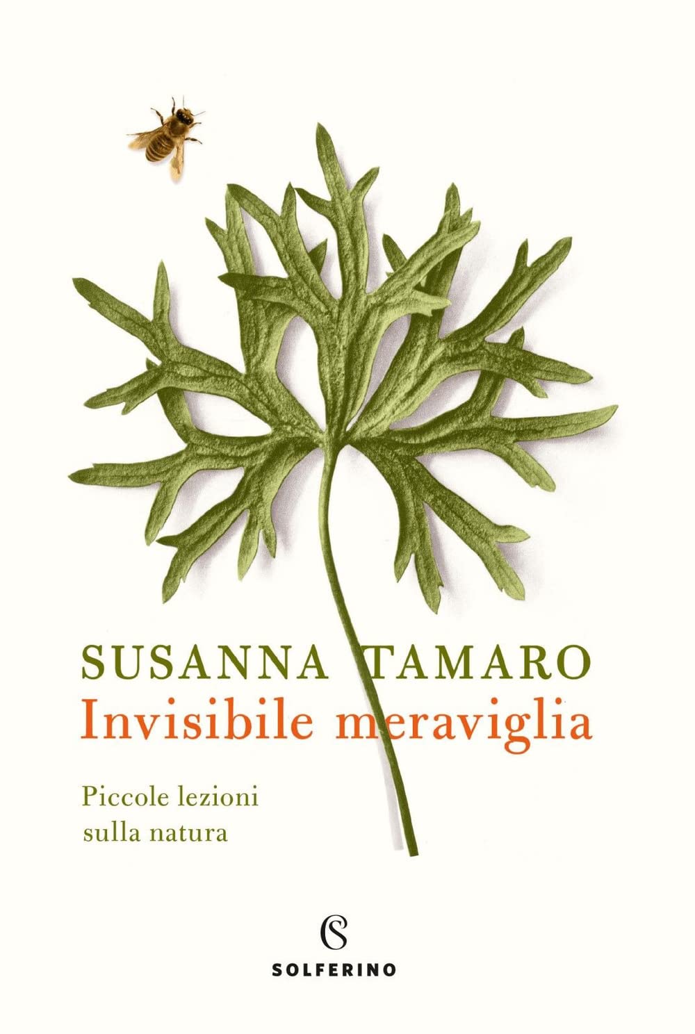 Consiglio del giorno: Invisibile meraviglia di Susanna Tamaro