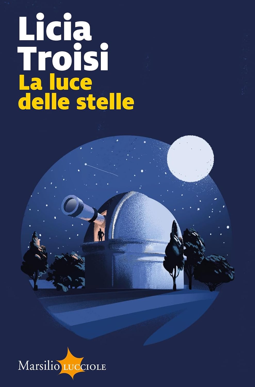 Consiglio del giorno: La luce delle stelle di Licia Troisi