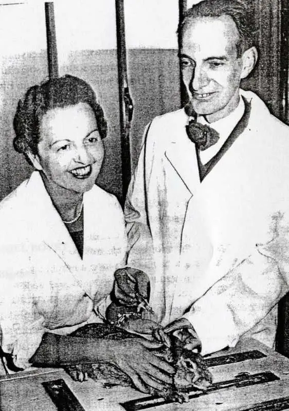 filomena nitti carola vai