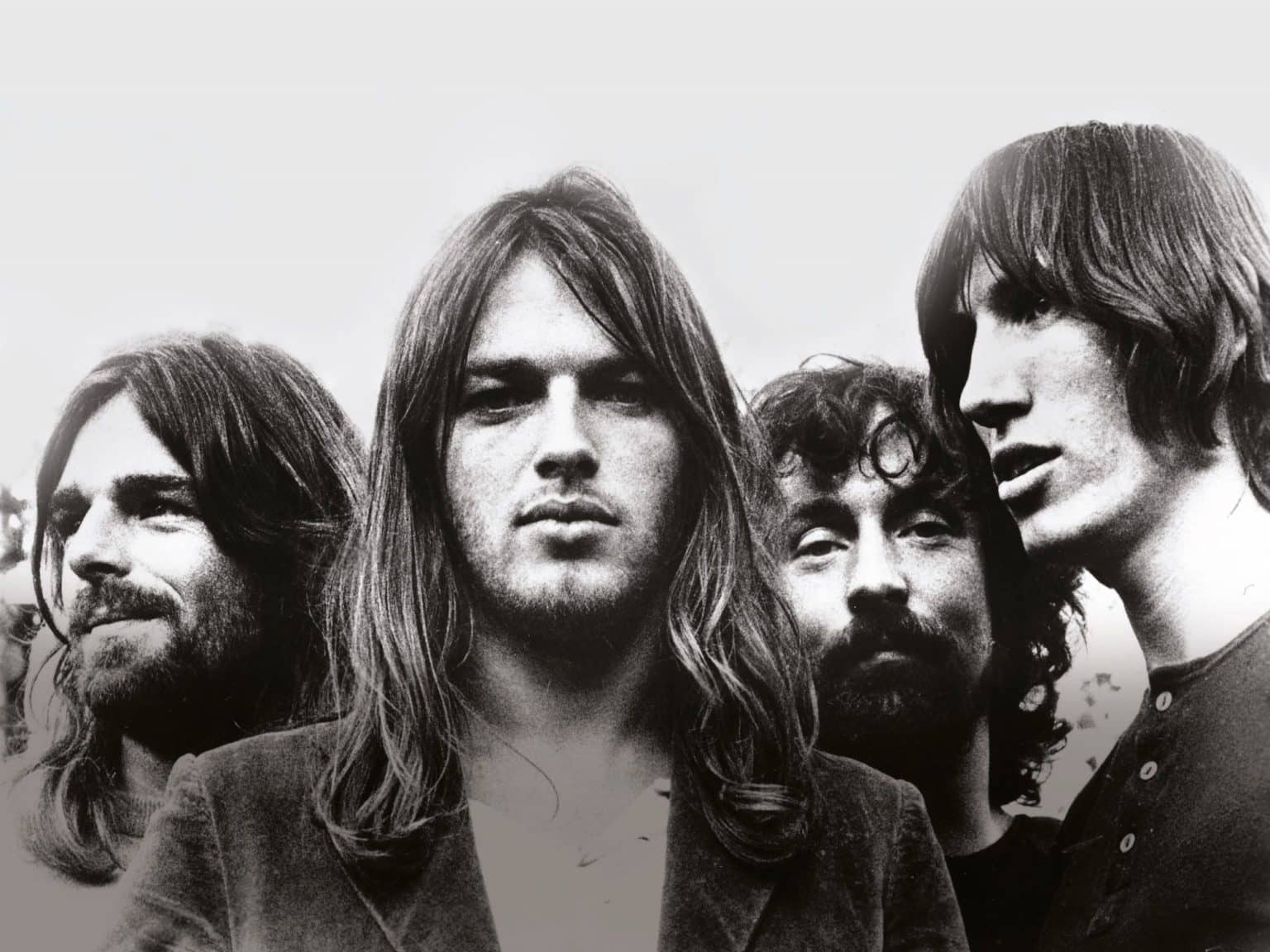 Pink Floyd Pigs might fly