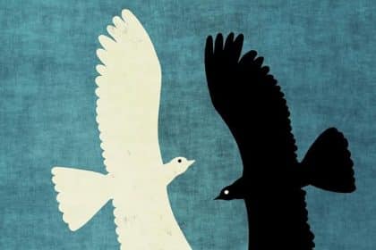 quello che cerchi sta cercando te kader abdolah iperborea