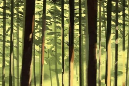 varie cose sulle sequoie e sul tempo stefansson iperborea