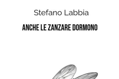 anche le zanzare dormono stefano labbia