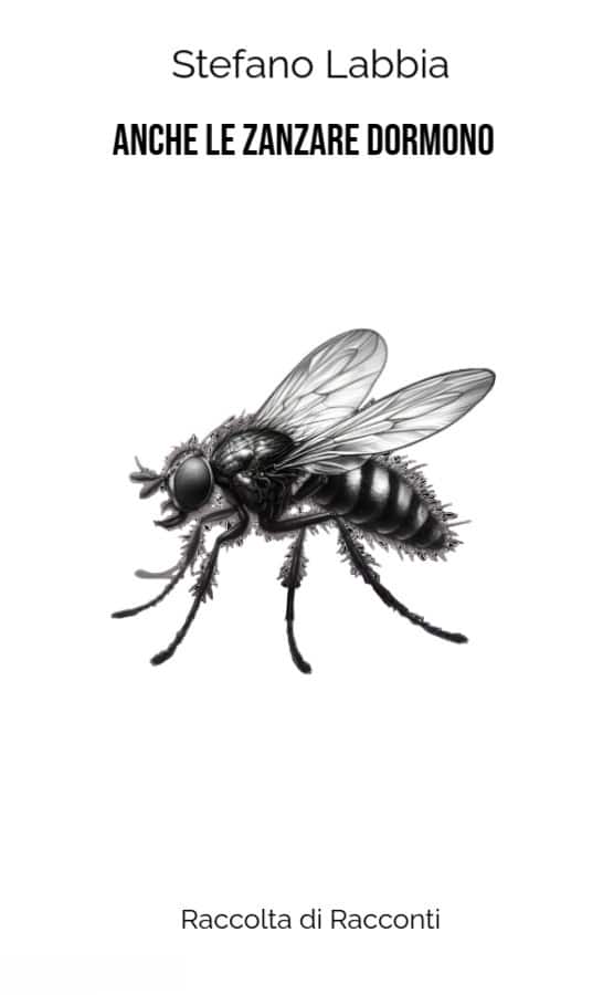 anche le zanzare dormono stefano labbia