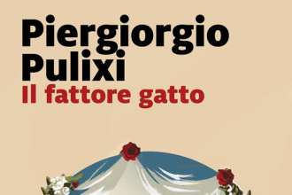 Il fattore gatto