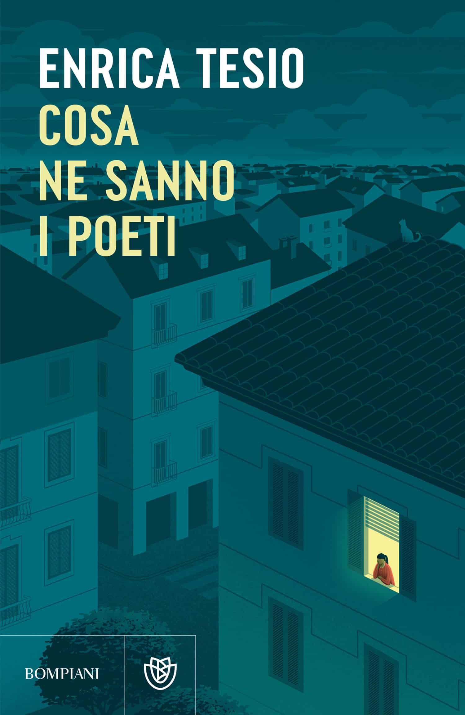 Cosa ne sanno i poeti è un romanzo o una raccolta? Che libro è