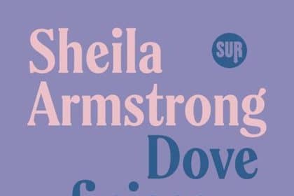 Copertina di Dove finisce il mondo di Sheila Armstrong