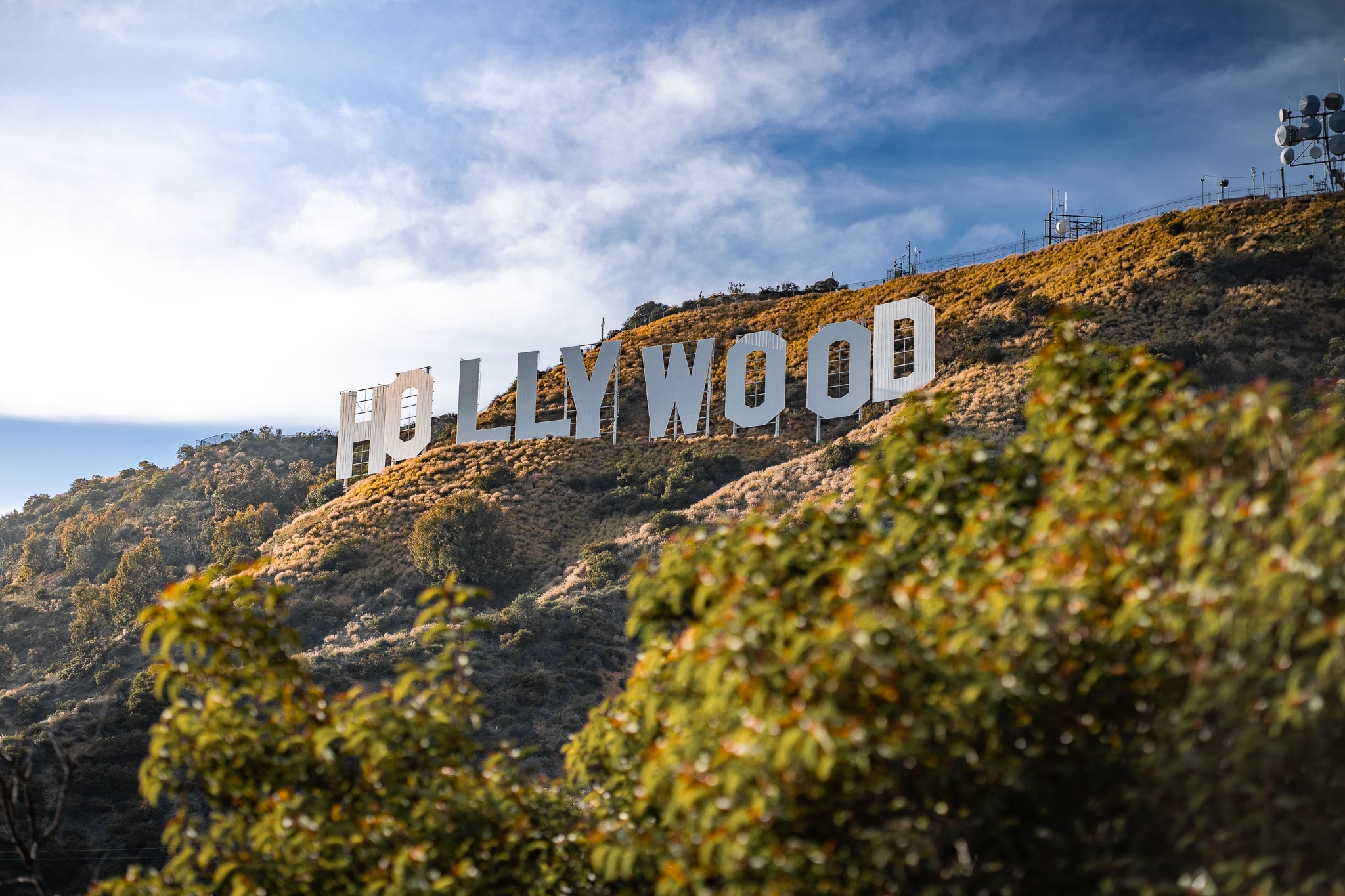 Hollywood, ambientazione di The Adventures of Cliff Booth