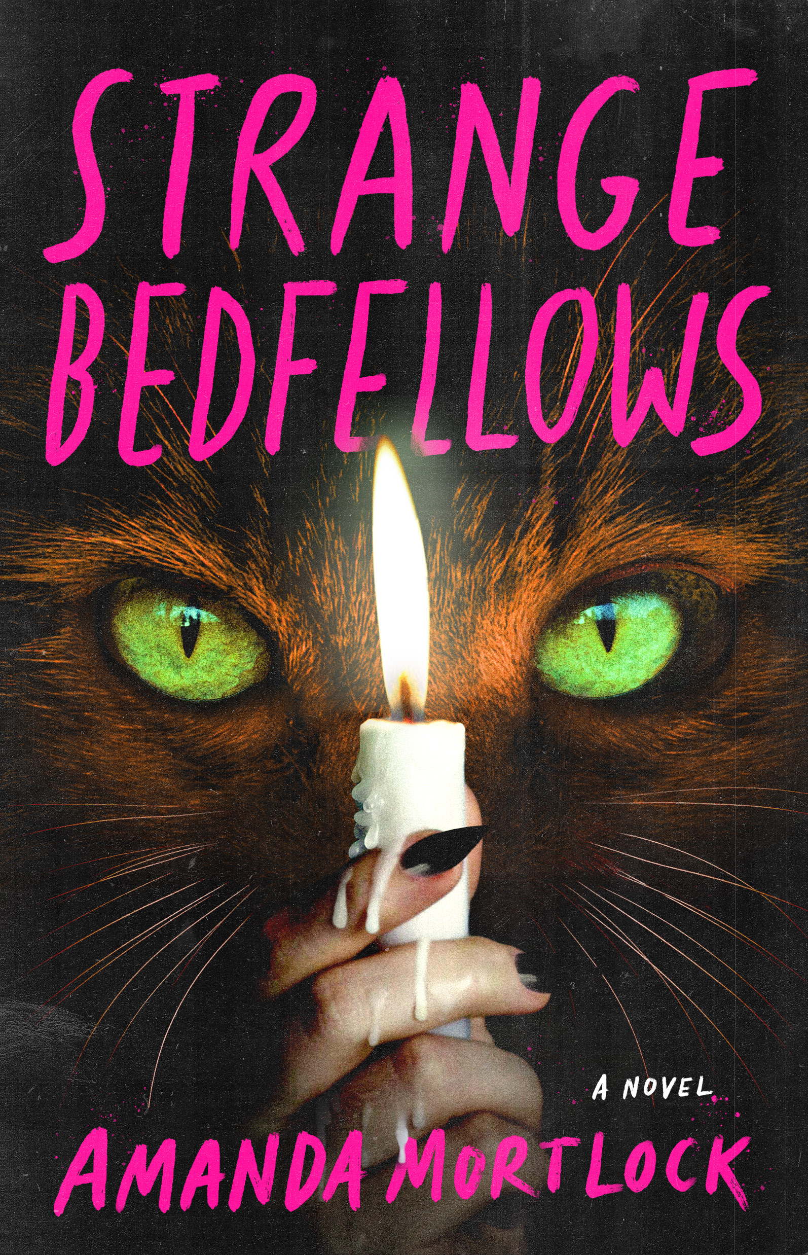 Copertina di Strange Bedfellows di Amanda Mortlock