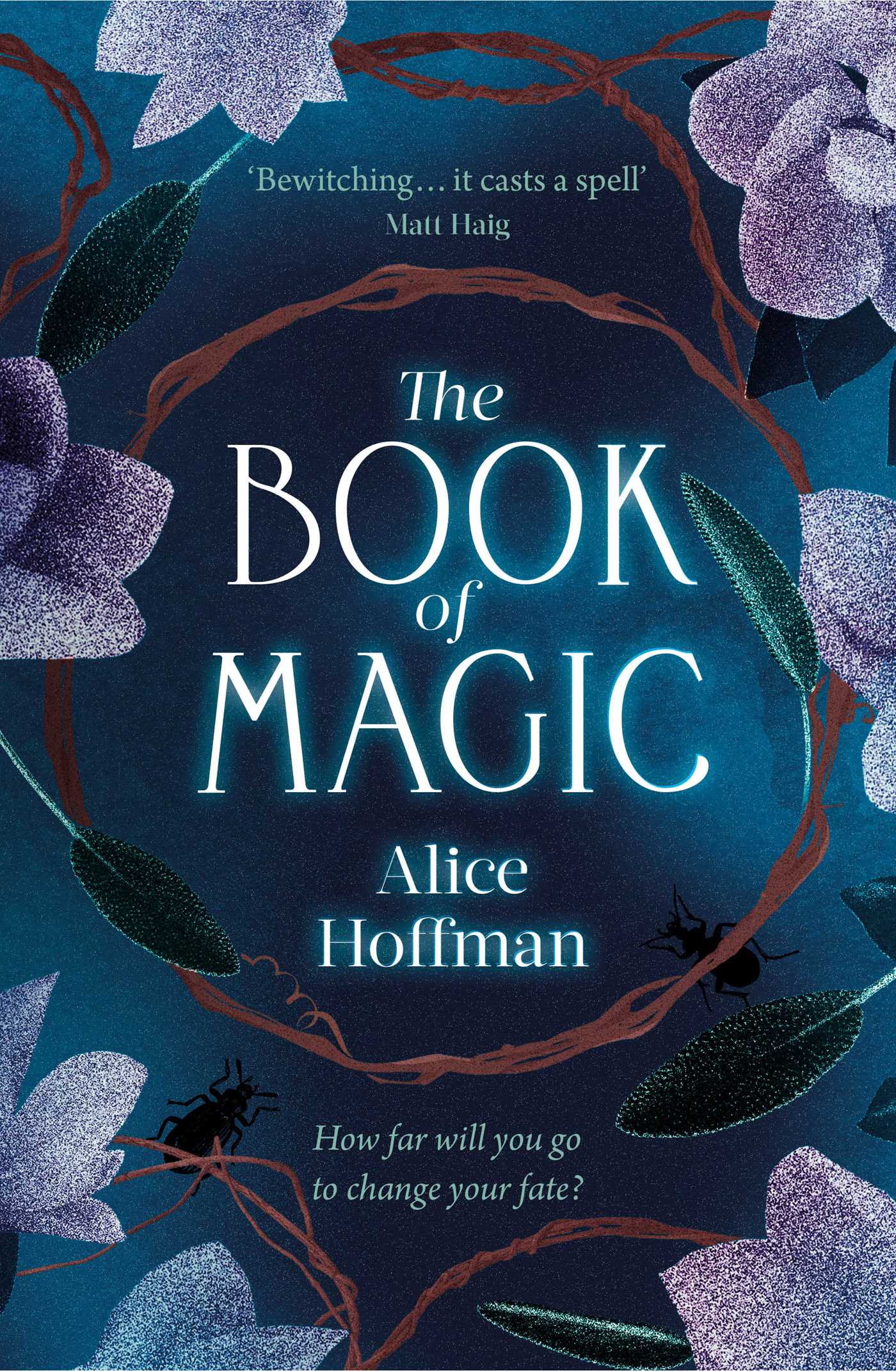 The Book of Magic di Alice Hoffman, romanzo alla base di Amori & incantesimi 2