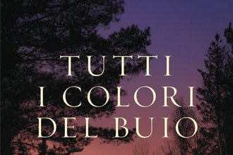 Tutti i colori del buio Chris Whitaker