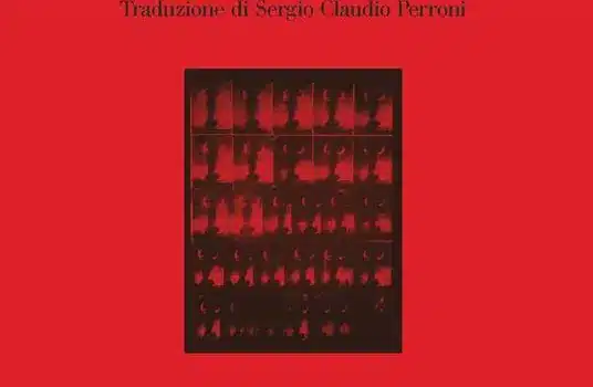 Anne Carson, Nobel 2026: libri in italiano e da quale iniziare