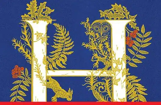 Copertina del libro Nel nome del figlio. Hamnet di Maggie O'Farrell