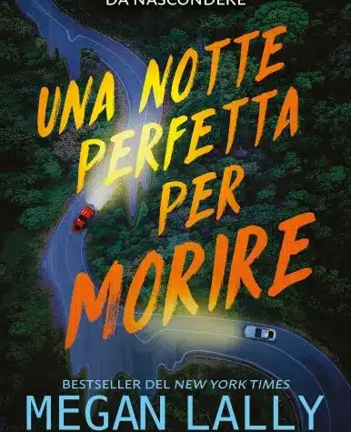 Una notte perfetta per morire: serve leggere Io non ho ucciso?