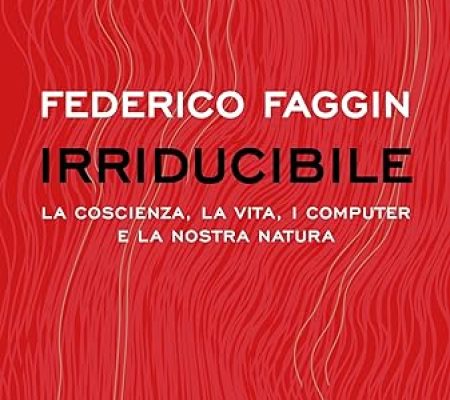 Federico Faggin irriducibile mondadori